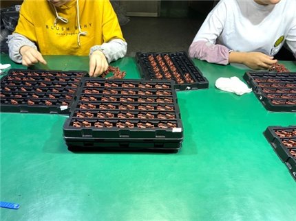 metal insert plastic injection molding